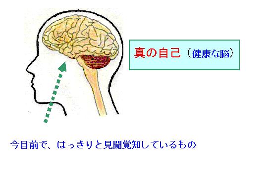 }QS
