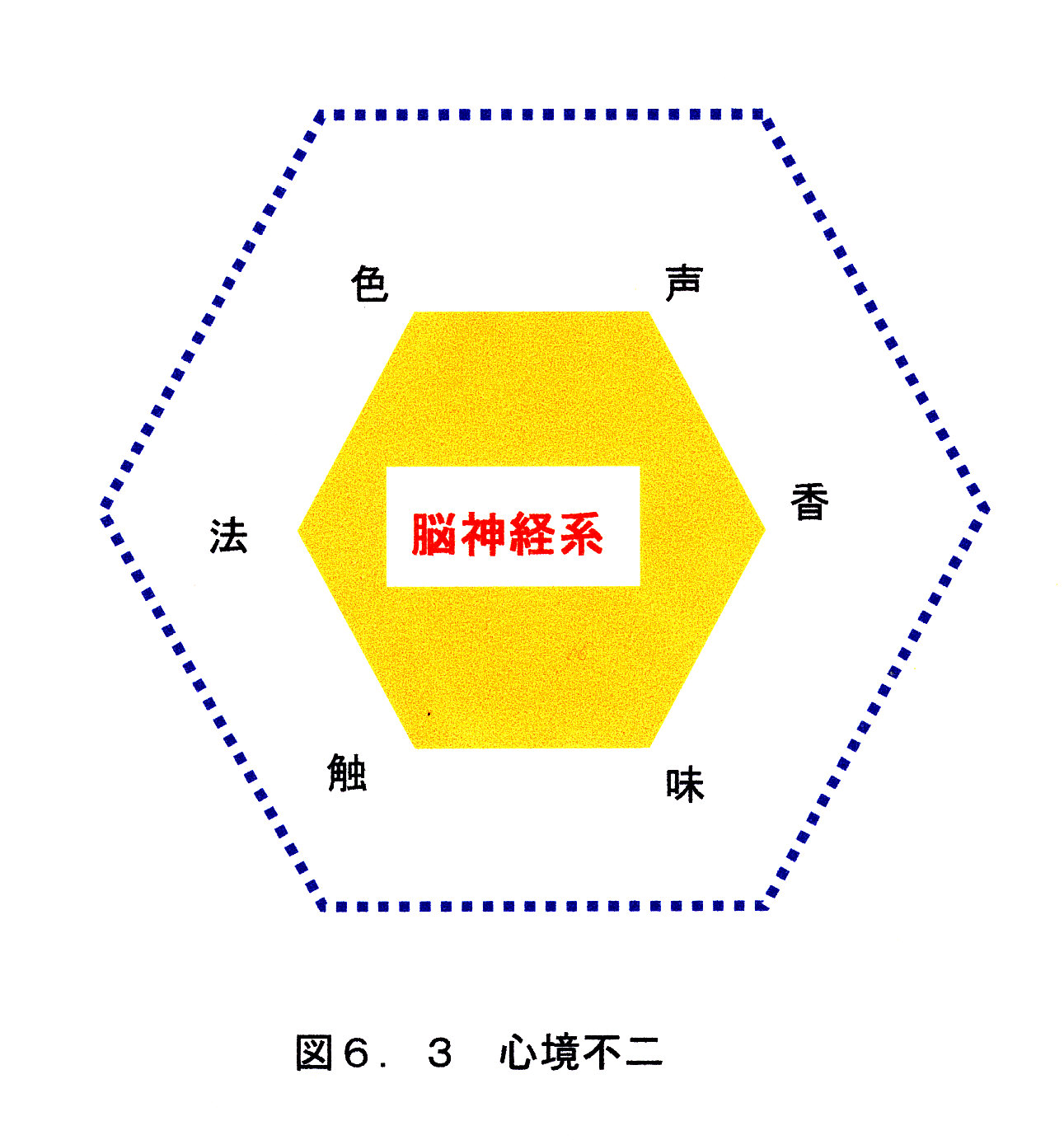 図6.3