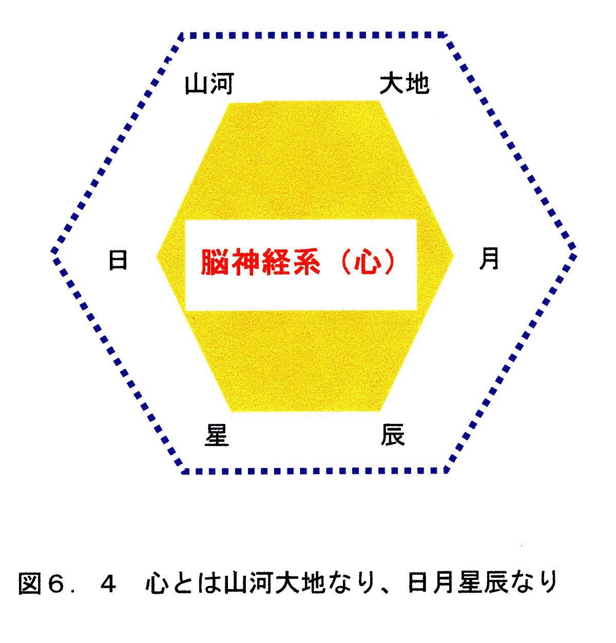 図6.4