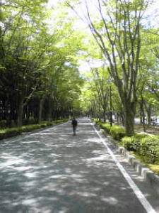 Adumaundou Adumaundou