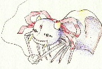 アーラちゃん